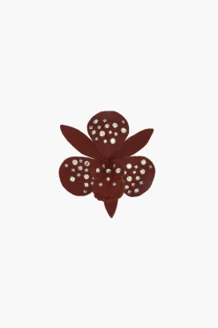 Hair^Sandy Liang Dendrobium Clip In Brown